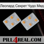 Леопард Секрет Чудо Мед 25